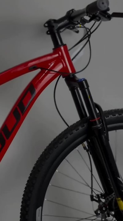 Bike Loud Aro 29